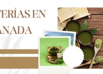 mejores teterías de Granada