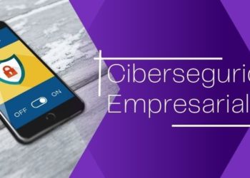 ciberseguridad