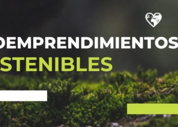 Ecoemprendimientos Sostenibles: La revolución empresarial hacia un futuro resiliente