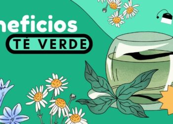 Beneficios del té verde para tu salud: Una taza de bienestar